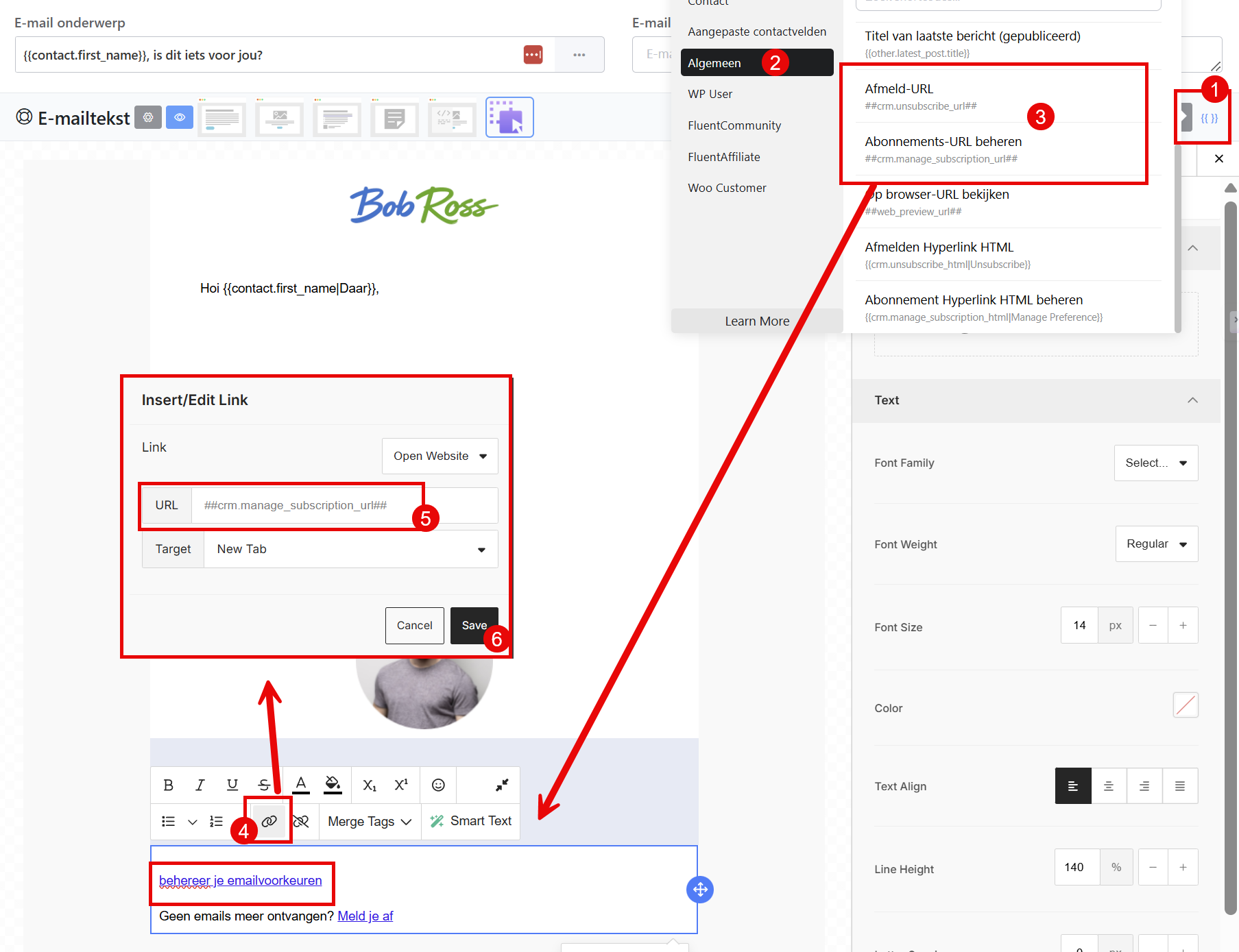 Merge tag for the email preferences link inside an email