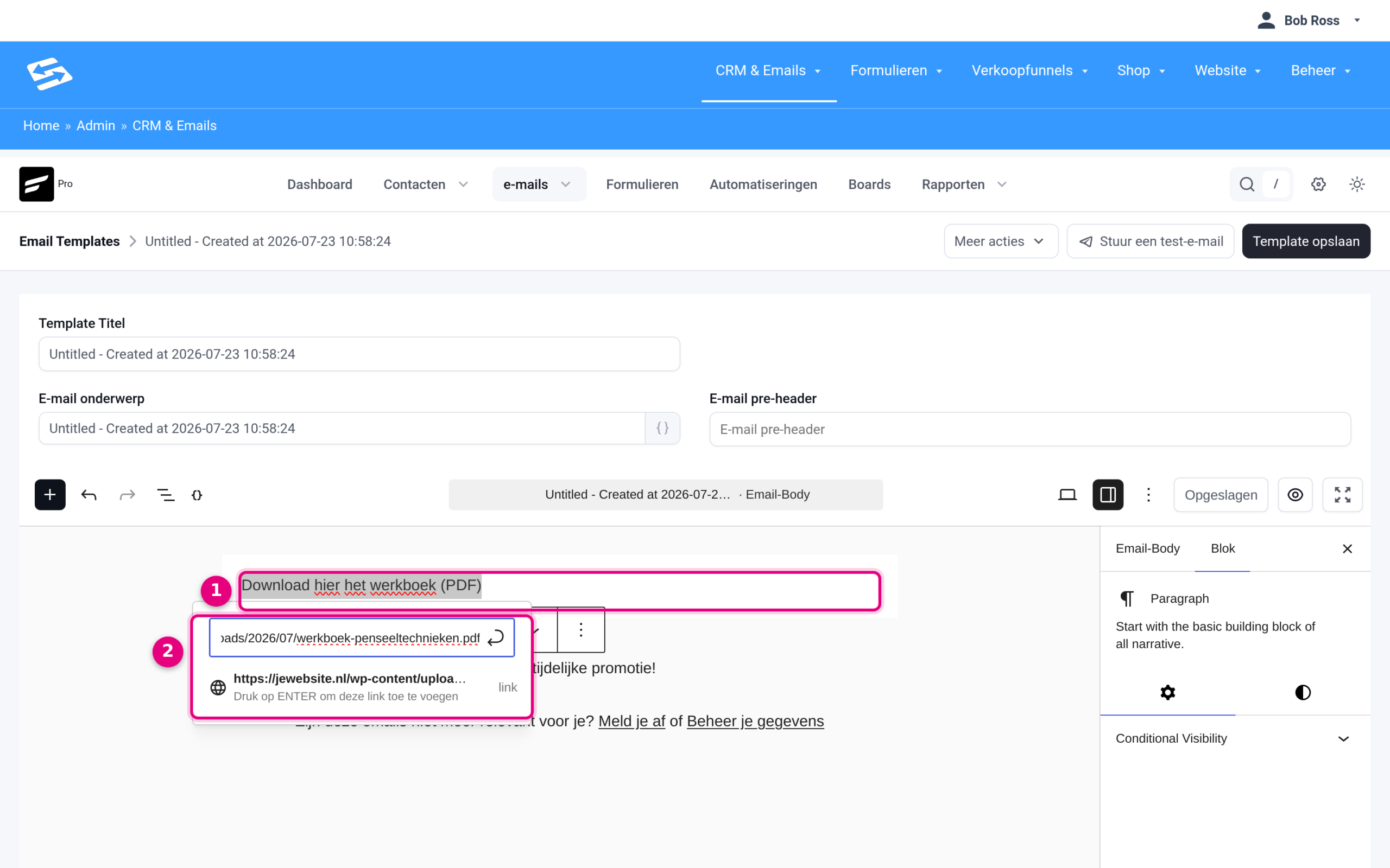The email editor with selected text and the link field holding the pasted file URL