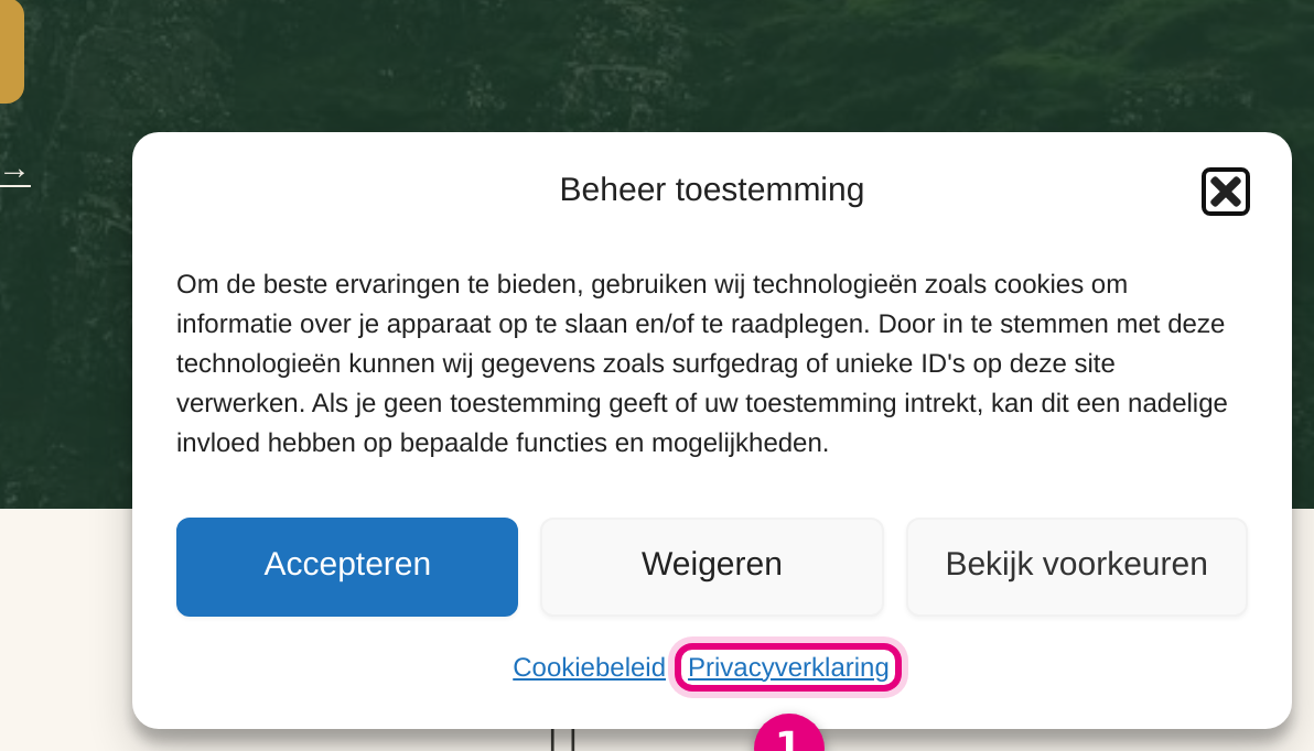 Cookie banner on the site with the Privacy statement link