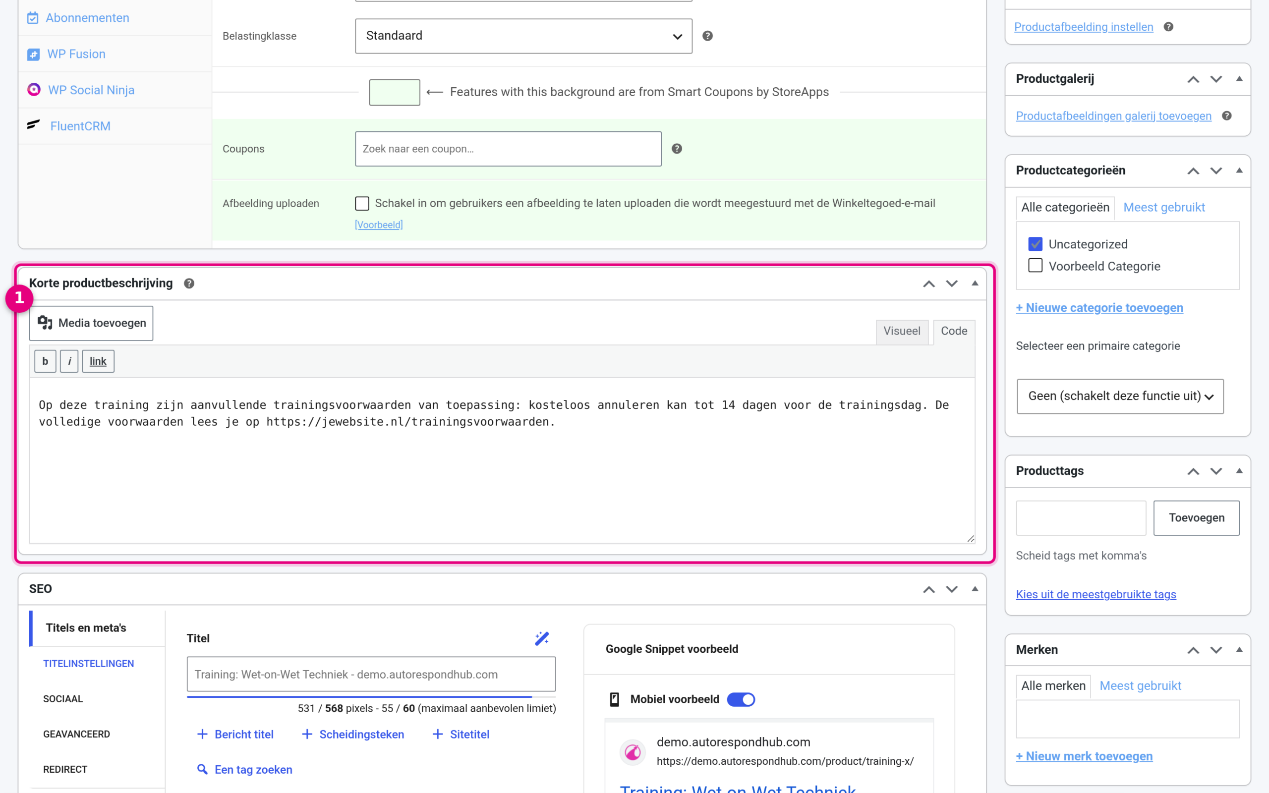 Filling in the short product description for a product