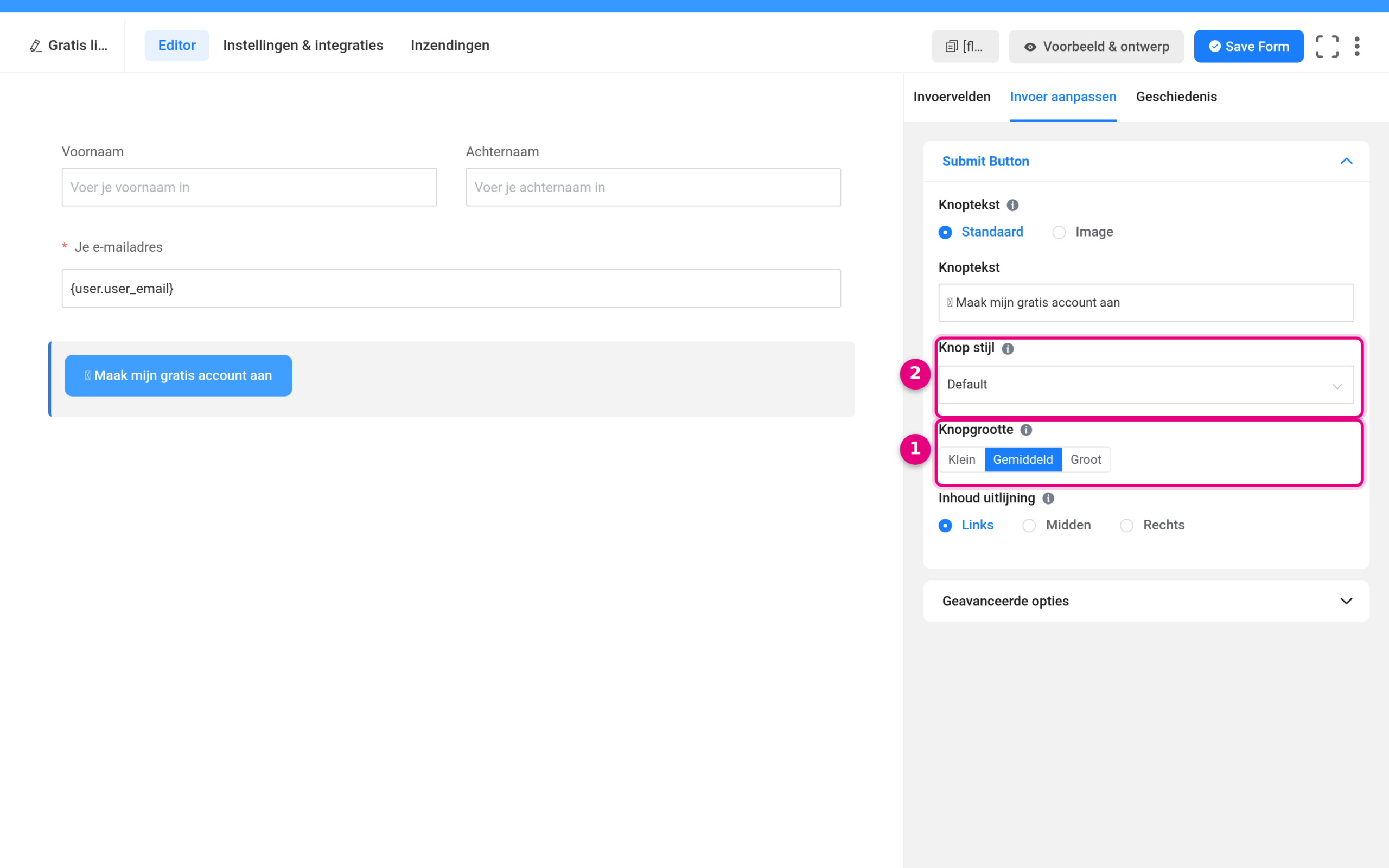 The Customise input panel with Button style and Button size