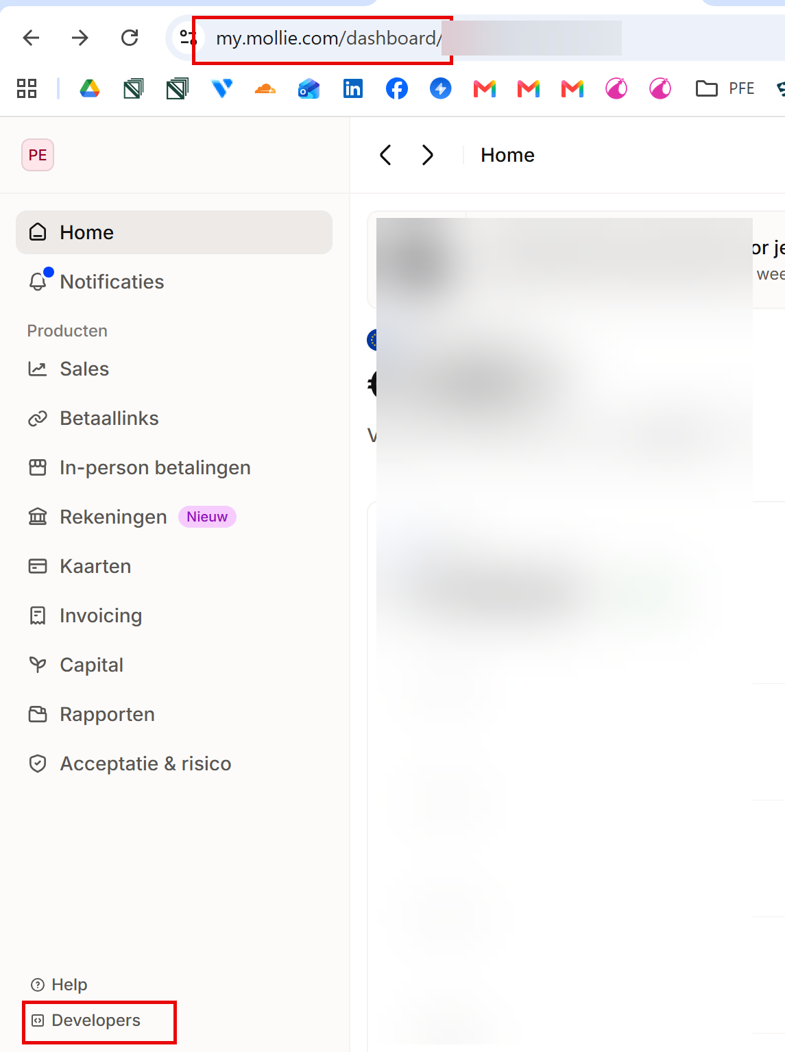 Mollie dashboard with the Developers button at the bottom left of the menu