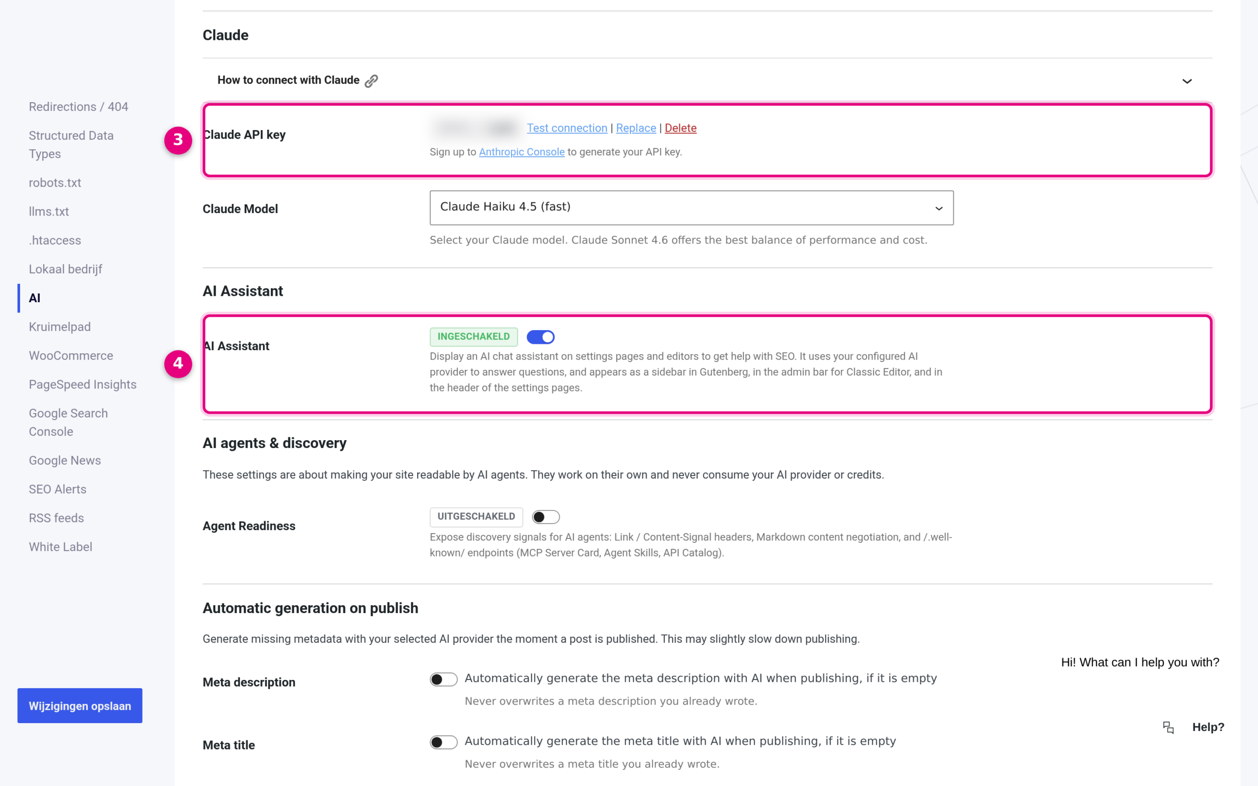 The field for the API key and the toggle for the AI Assistant